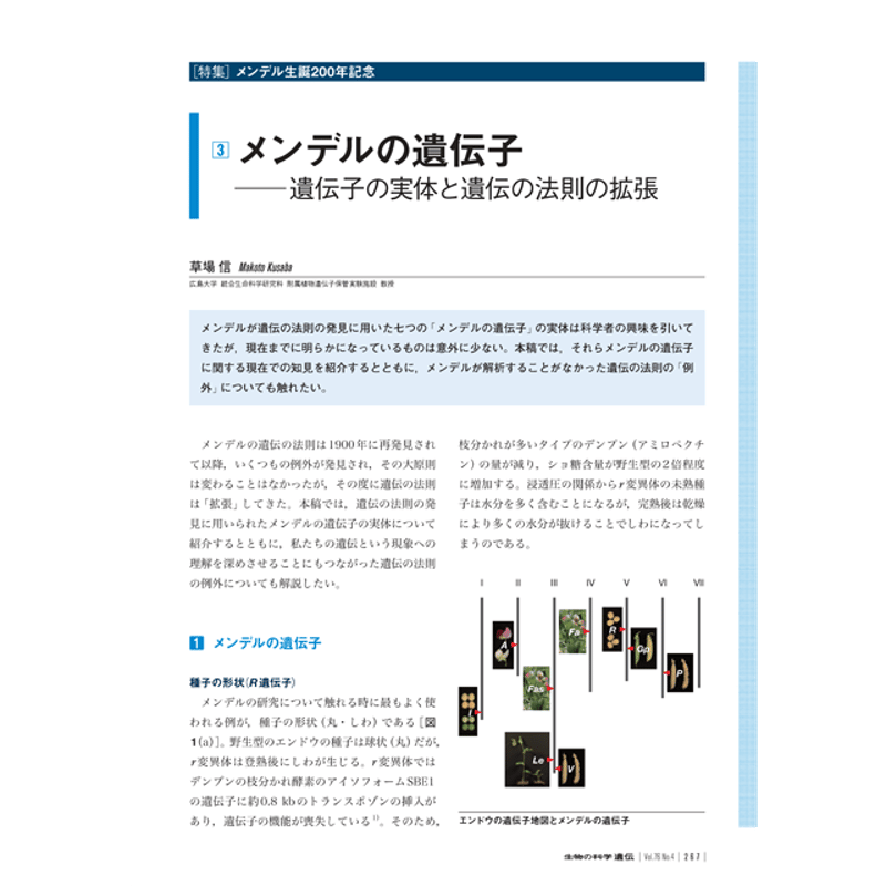 メンデルページ　8BOX 2022年7月発行号/特集/メンデルの遺伝子(草場 信 氏) | 生物の科学