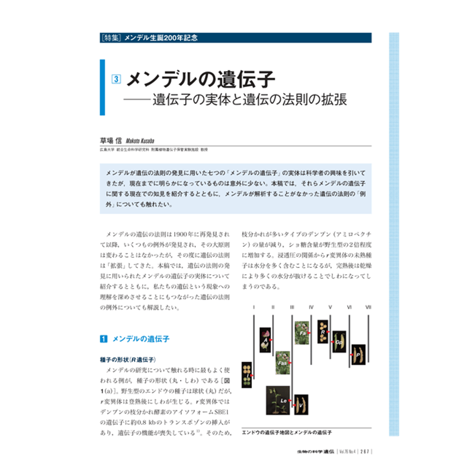 62cb67e640ebf0492e28536a
