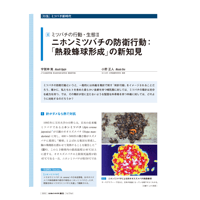 2019年11月発行号/特集/宇賀神　篤 氏