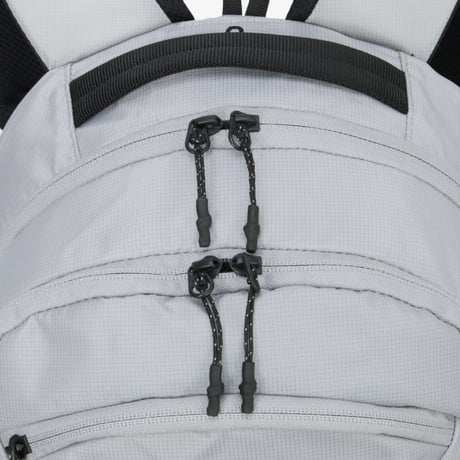 ザ・ノースフェイス ASCEND LT 20 アセンド20 バックパック Ice Gray THE NORTH FACE リュック