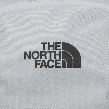 ザ・ノースフェイス ASCEND LT 15 アセンド15 バックパック Stone Gray THE NORTH FACE リュック
