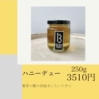 ハニーデュー　250g