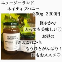 ニュージーランド　ワイルドハニー250g