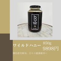 ワイルドハニー 1.5kg | cheek