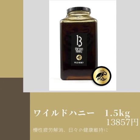 13ハニー | STORES