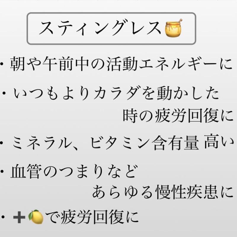 蜂蜜療法　スティングレス1.5Kg c5e02d16f5ec688b05692d6fd41aad