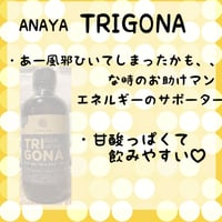 ハニーインザ ガーデン☆レモンマートル450g | cheek's STORE