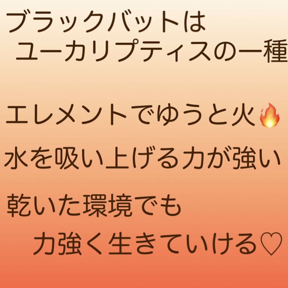 627b2c988d26fa4b07bb41b6