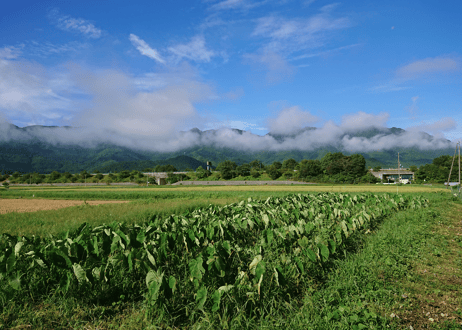 ●有機農産物の野菜セット【3,480円(税込・送料無料)】