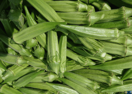 ●有機農産物の野菜セット【5,980円(税込・送料無料)】