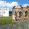 【2024年産】自然栽培のお米『ササニシキ』5分づき10kg