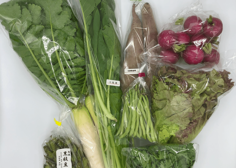定期便・毎週】自然栽培野菜セット【3,480円(税込・送料無料