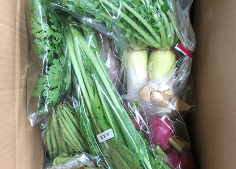 【定期便・1か月ごと】自然栽培野菜セット【5,980円(税込・送料無料)】