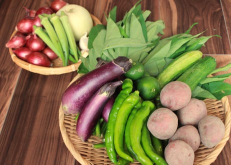 【定期便・1か月ごと】有機栽培の野菜セット【5,980円(税込・送料無料)】
