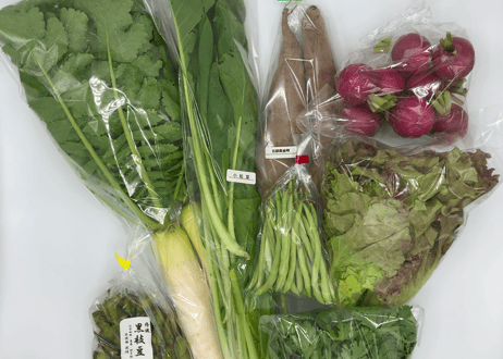 【定期便・1か月ごと】有機栽培の野菜セット【3,480円(税込・送料無料)】