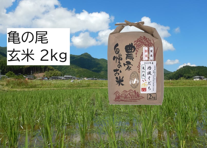 【絵海梨】自然栽培 玄米 23kg(8分づき)(特注) 2024年産 絵海梨】自然栽培 玄米 23kg(8分づき)(特注) 2024年産 fit=scale