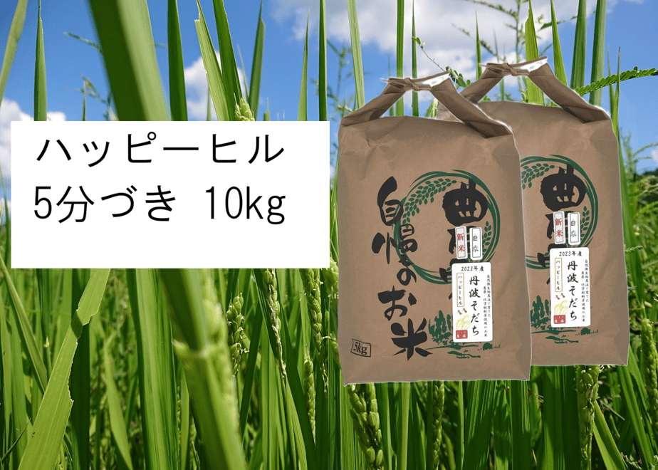 66e15f04e0d47802e8e96fcc