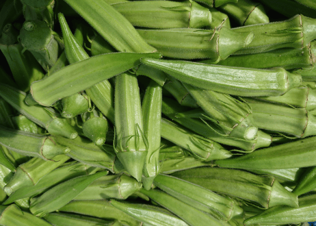 【定期便・隔週】自然栽培野菜セット【5,980円(税込・送料無料)】