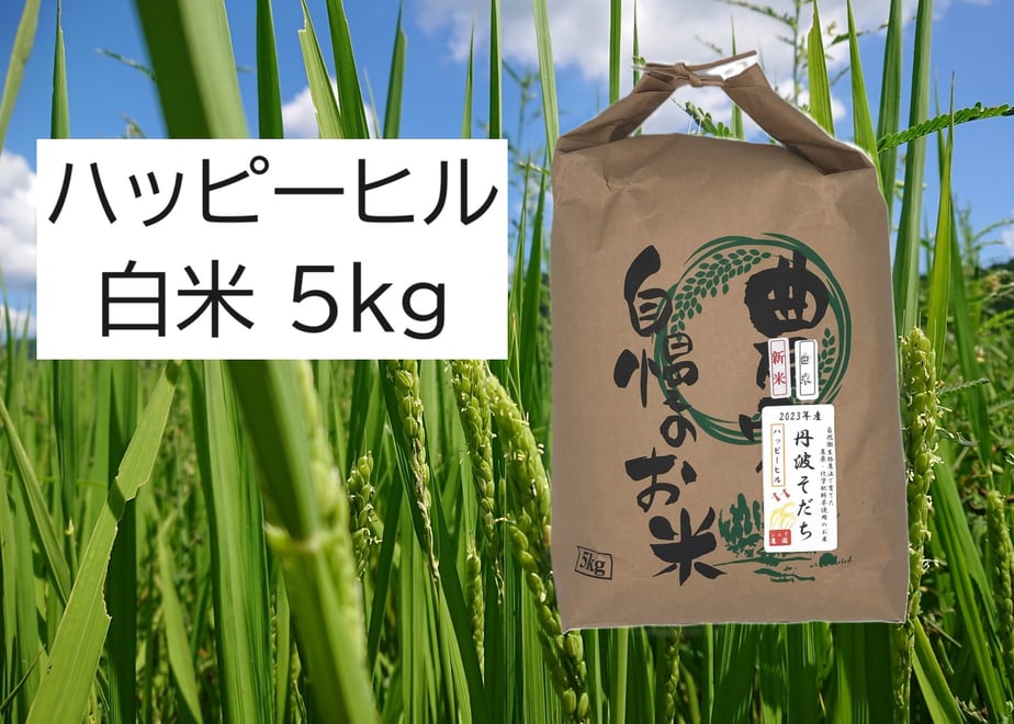66e0dedb00e8ad2957ab9fb6