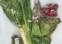 ●自然栽培野菜セット【3,480円(税込・送料無料)】