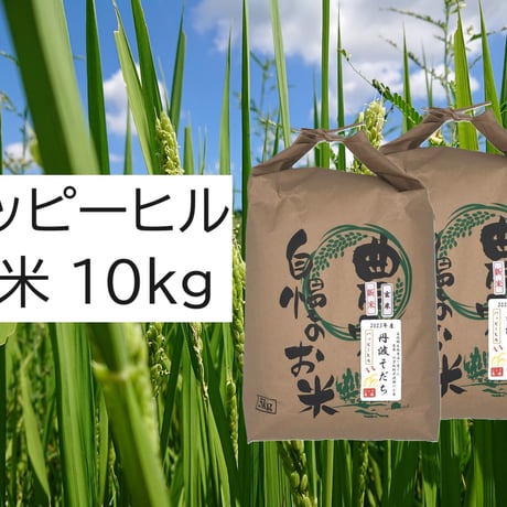 ハッピーヒル | STORES