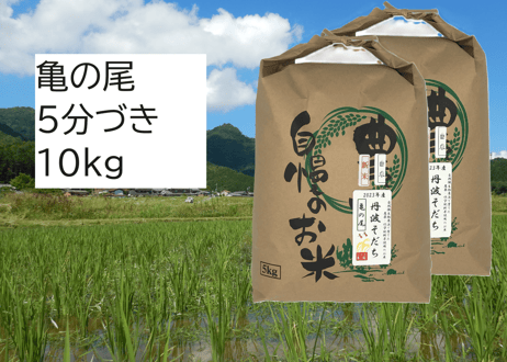 亀の尾　10kg 玄米　令和6年産　農薬不使用　肥料不使用　自然栽培米 楽天市場】【11月下旬発送予定】自然栽培米 玄米 亀の尾 令和7