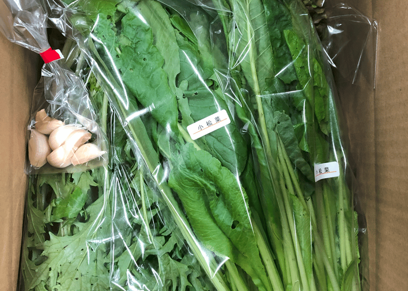 定期便・毎週】自然栽培野菜セット【3,480円(税込・送料無料