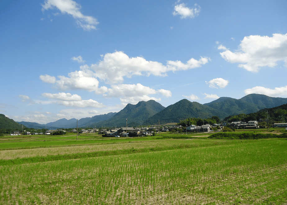 66e1035e16b7bc3691cb2577