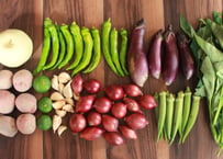 【定期便・1か月ごと】有機栽培の野菜セット【5,980円(税込・送料無料)】