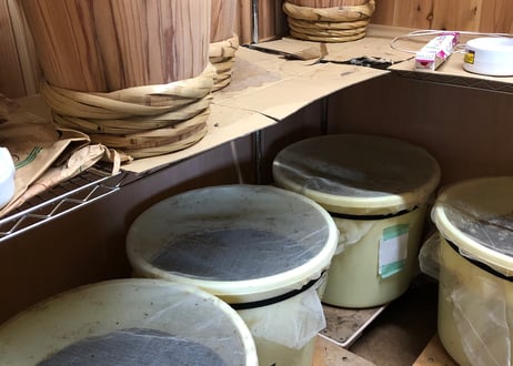 【自然栽培】の米と大豆でできた味噌 麹の甘みが美味しい♪ 白大豆味噌 500ｇ×２セット