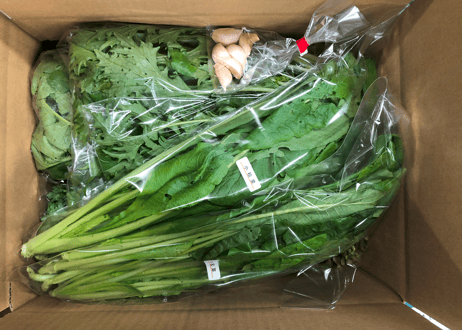 ●自然栽培野菜セット【5,980円(税込・送料無料)】