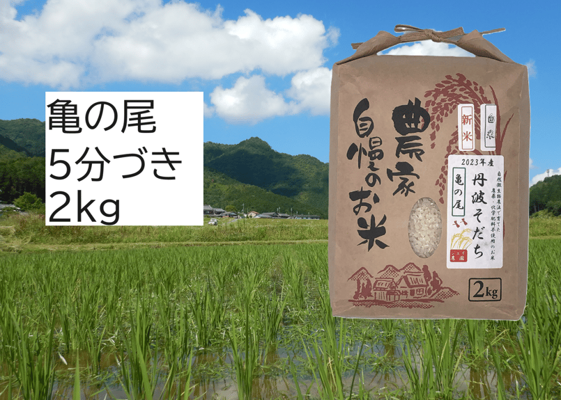 2024年産】自然栽培のお米『亀の尾』5分づき2kg | 丹波ジェイ農園