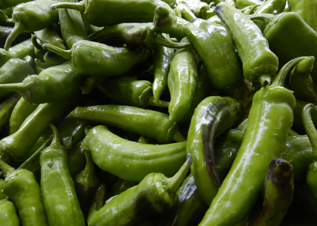 【定期便・毎週】自然栽培野菜セット【3,480円(税込・送料無料)】