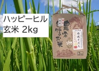 2024年産】自然栽培のお米『亀の尾』玄米10kg | 丹波ジェイ農園 2024年産】自然栽培のお米『亀の尾』玄米10kg | 丹波ジェイ農園