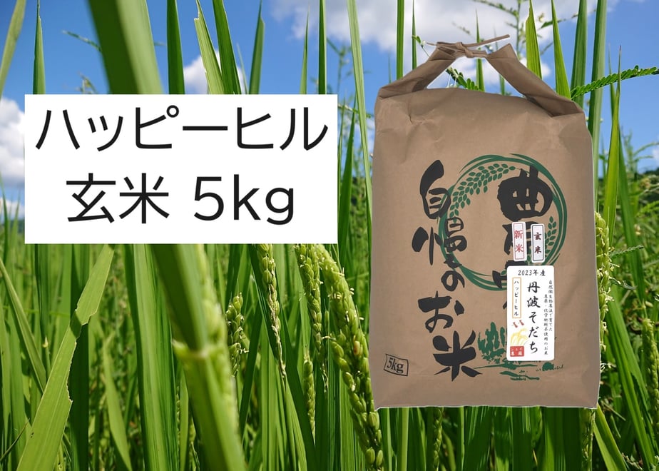 66e0dd23a4992201a8620726