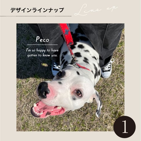 フォトキャンバスパネル【ましかくサイズ】