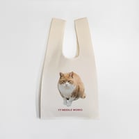 POTCHARI MARCHE BAG