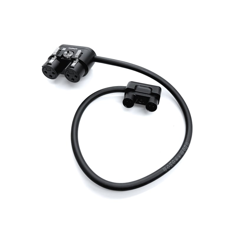キヤノン C80用 Mini XLR to 3-Pin XLRアダプター (ES-T25-XL