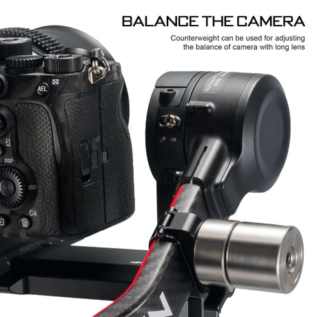 60g Counterweight (TGA-CW-60)