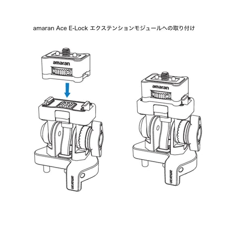 amaran Ace E-Lock アダプター   (1/4-20 インチ & 3/8-16 インチネジ 互換)  (APACERLAD)