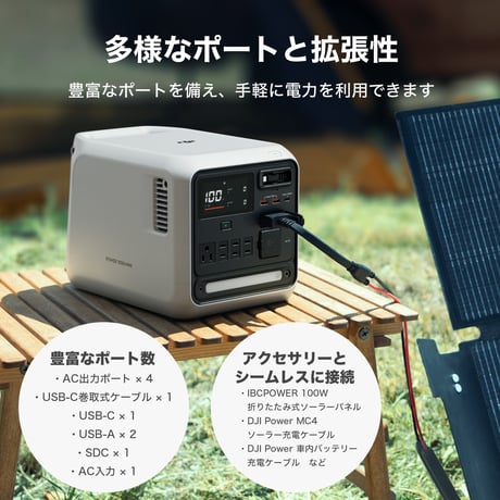 DJI POWER 1000 Mini （ホワイト）(DY0050)