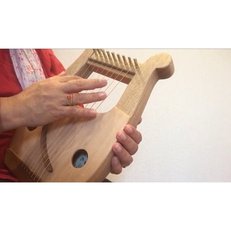 ペンタトニックライアー　あやはべる９弦　スターターキット
