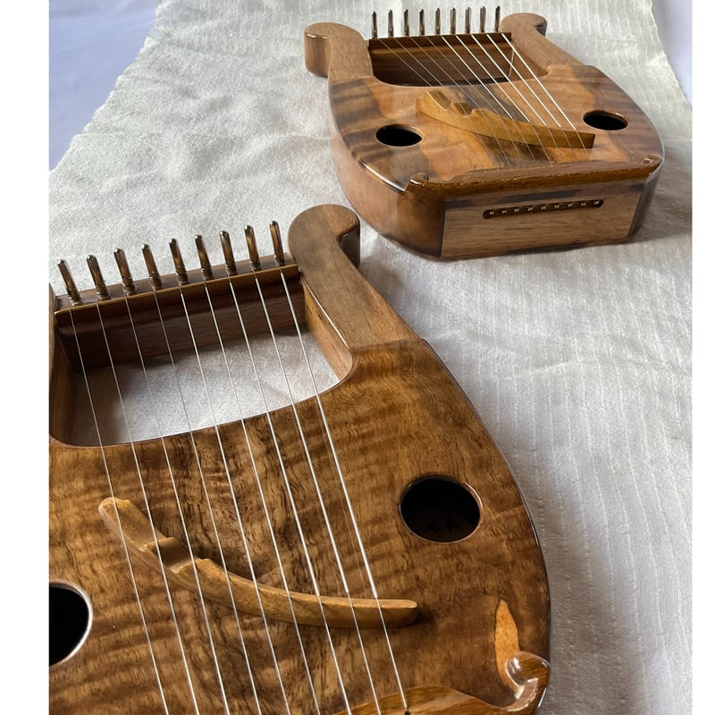 あやはべる9弦 おきなわの木 ・「柿」(い)（な）2025年ビルダーズ