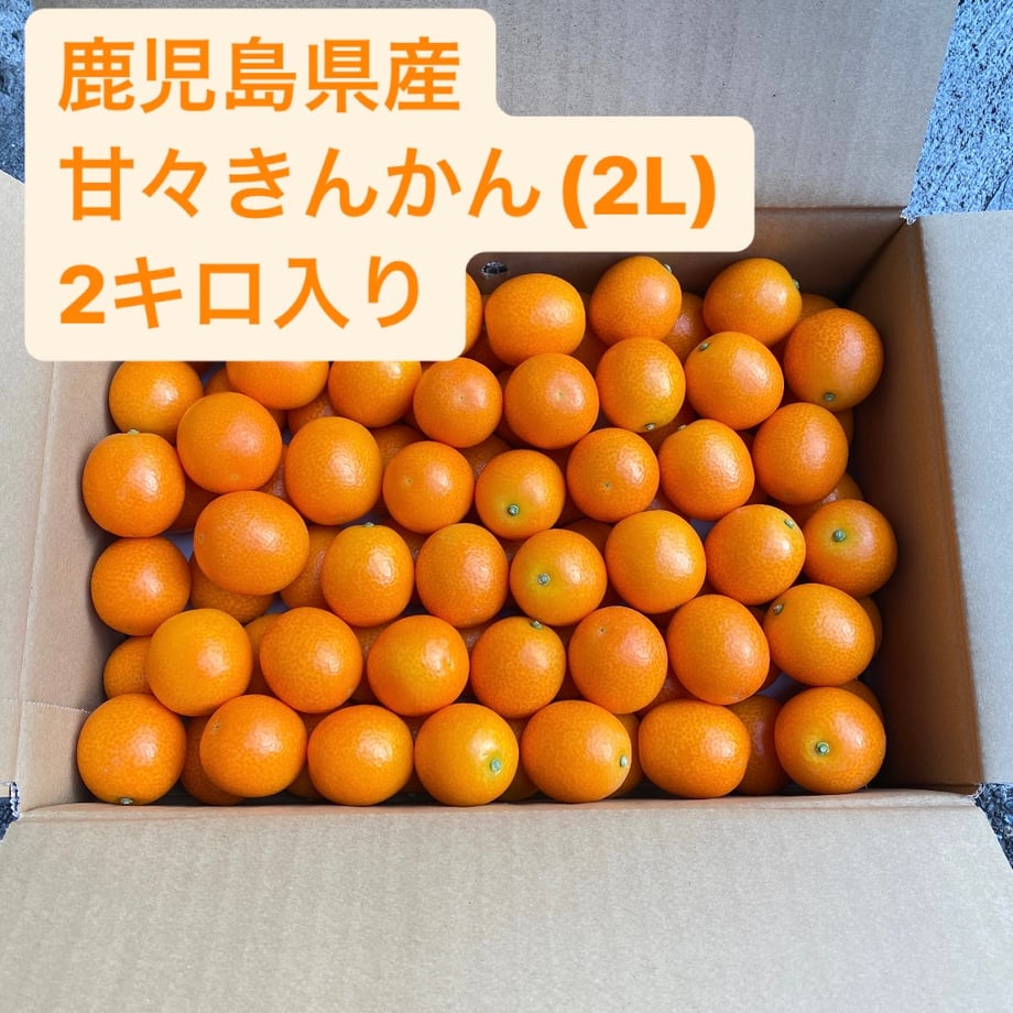 63e0e3e26223967f0cc58aa8
