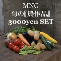 旬の『農作品』 3000円セット（税込・送料別）