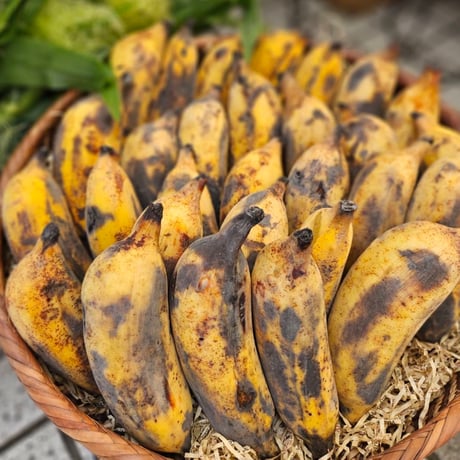 CATEGORY 野菜&果物(単品) | MITSUI NATURAL GARDEN