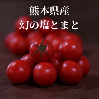 【フルーツトマトの元祖】幻の塩トマト(熊本県産)箱売り