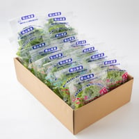 植物工場産野菜セット（１６袋）