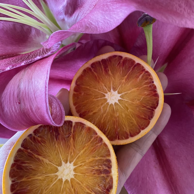 No.22 ブラッドオレンジと桃のコンフィチュール | KUMAGAWA ARTISANS