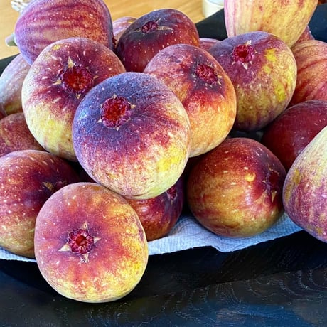 No.27　いちじくと国産ラム酒のコンポート